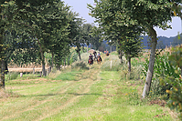 Reiterurlaub-Sommer-2011-8896.jpg