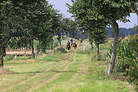 Reiterurlaub-Sommer-2011-8897.jpg