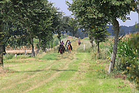 Reiterurlaub-Sommer-2011-8905.jpg