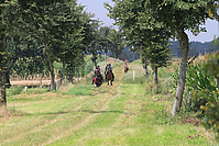 Reiterurlaub-Sommer-2011-8907.jpg