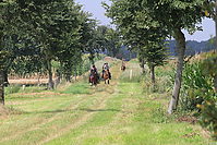 Reiterurlaub-Sommer-2011-8910.jpg