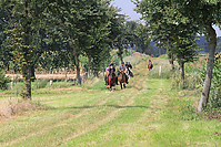 Reiterurlaub-Sommer-2011-8913.jpg