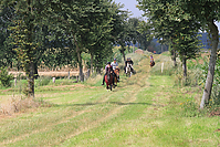 Reiterurlaub-Sommer-2011-8915.jpg