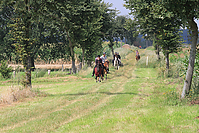 Reiterurlaub-Sommer-2011-8916.jpg