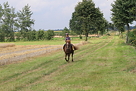 Reiterurlaub-Sommer-2011-9003.jpg