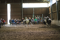 Islandfohlen-chippen-2011-9023.jpg