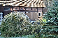 Gruenkohlritt-0186.jpg