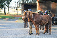 Gruenkohlritt-0326.jpg