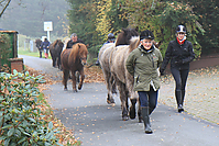 Gruenkohlritt-Heimritt-108.jpg