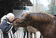 Gruenkohlritt-Heimritt-125.jpg