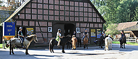 Heidebluetenritt-2011-9365.jpg