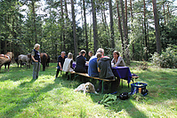 Heidebluetenritt-2011-9389.jpg