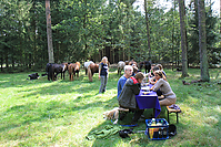 Heidebluetenritt-2011-9390.jpg