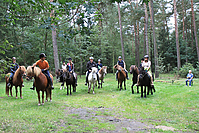 Heidebluetenritt-2011-9403.jpg