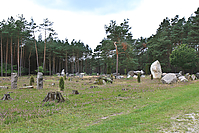 Heidebluetenritt-2011-9408.jpg