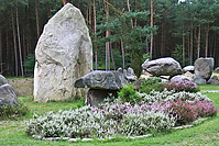 Heidebluetenritt-2011-9410.jpg