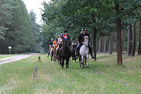 Heidebluetenritt-2011-9437.jpg