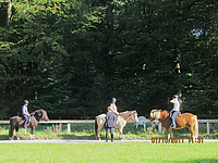 Reiterurlaub-Islaenderhof-September-2011__056.jpg