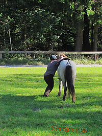 Reiterurlaub-Islaenderhof-September-2011__070.jpg