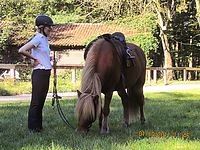 Reiterurlaub-Islaenderhof-September-2011__074.jpg