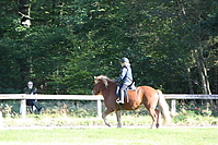 Reitunterricht-Oktober_0019.jpg