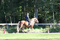 Reitunterricht-Oktober_0027.jpg