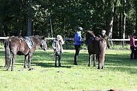 Reitunterricht-Oktober_0043.jpg