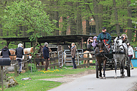 Islandstuten-2012-3238.jpg