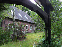 Islandfohlen-1070055.jpg