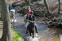 Osterferien-Islandpferdereiter-2458.jpg