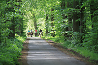 Himmelfahrt-2012-Islandpferde-5236.jpg