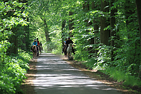 Himmelfahrt-2012-Islandpferde-5240.jpg