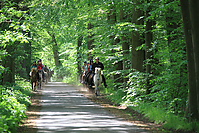 Himmelfahrt-2012-Islandpferde-5243.jpg