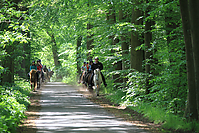 Himmelfahrt-2012-Islandpferde-5244.jpg