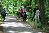 Himmelfahrt-2012-Islandpferde-5248.jpg