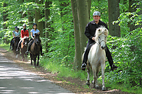 Himmelfahrt-2012-Islandpferde-5254.jpg