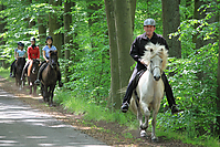 Himmelfahrt-2012-Islandpferde-5255.jpg