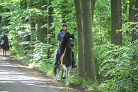 Himmelfahrt-2012-Islandpferde-5315.jpg