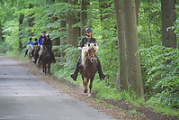 Himmelfahrt-2012-Islandpferde-5325.jpg