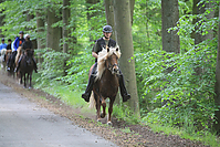 Himmelfahrt-2012-Islandpferde-5329.jpg