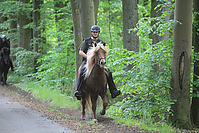 Himmelfahrt-2012-Islandpferde-5332.jpg