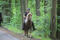 Himmelfahrt-2012-Islandpferde-5333.jpg