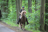 Himmelfahrt-2012-Islandpferde-5334.jpg