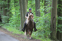 Himmelfahrt-2012-Islandpferde-5335.jpg