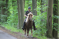 Himmelfahrt-2012-Islandpferde-5337.jpg