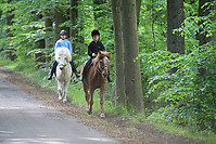 Himmelfahrt-2012-Islandpferde-5347.jpg