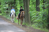 Himmelfahrt-2012-Islandpferde-5349.jpg