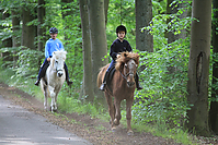 Himmelfahrt-2012-Islandpferde-5354.jpg