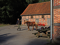 Islaenderhof-Rutenmuehle-0244.jpg