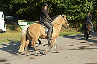 Heidebluetenritt-Islaenderhof-03898.jpg